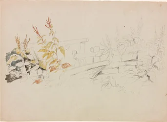 Naturstudie
